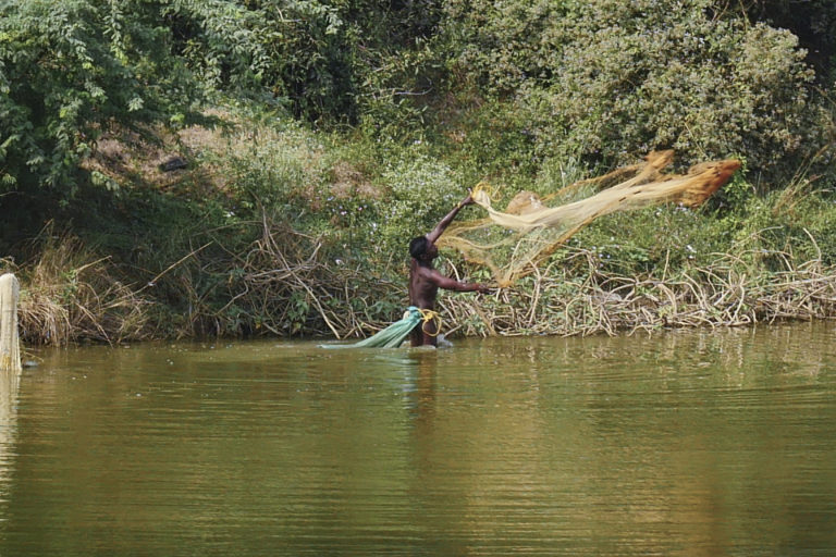 I en sø farvet grøn af alger og forurenet vand fisker en mand med net. Bag søen ligger medicinalfabrikken Aurobindo, der i februar 2022 har fået en dom for brud på miljøloven. Foto: Changing Markets