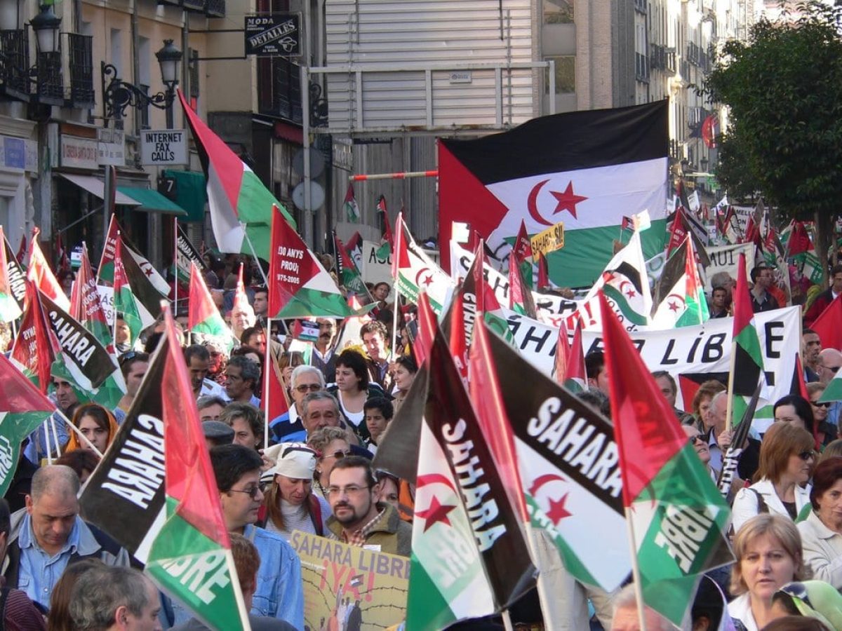 demonstration 2006 in madrid - contribute western sahara
