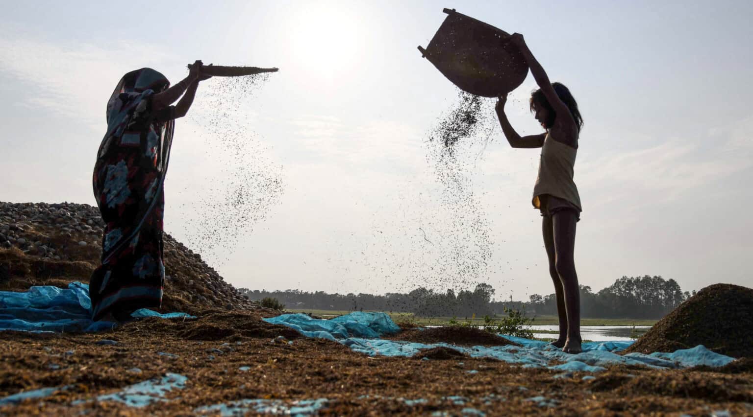 INDIA LABOUR AGRICULTURE