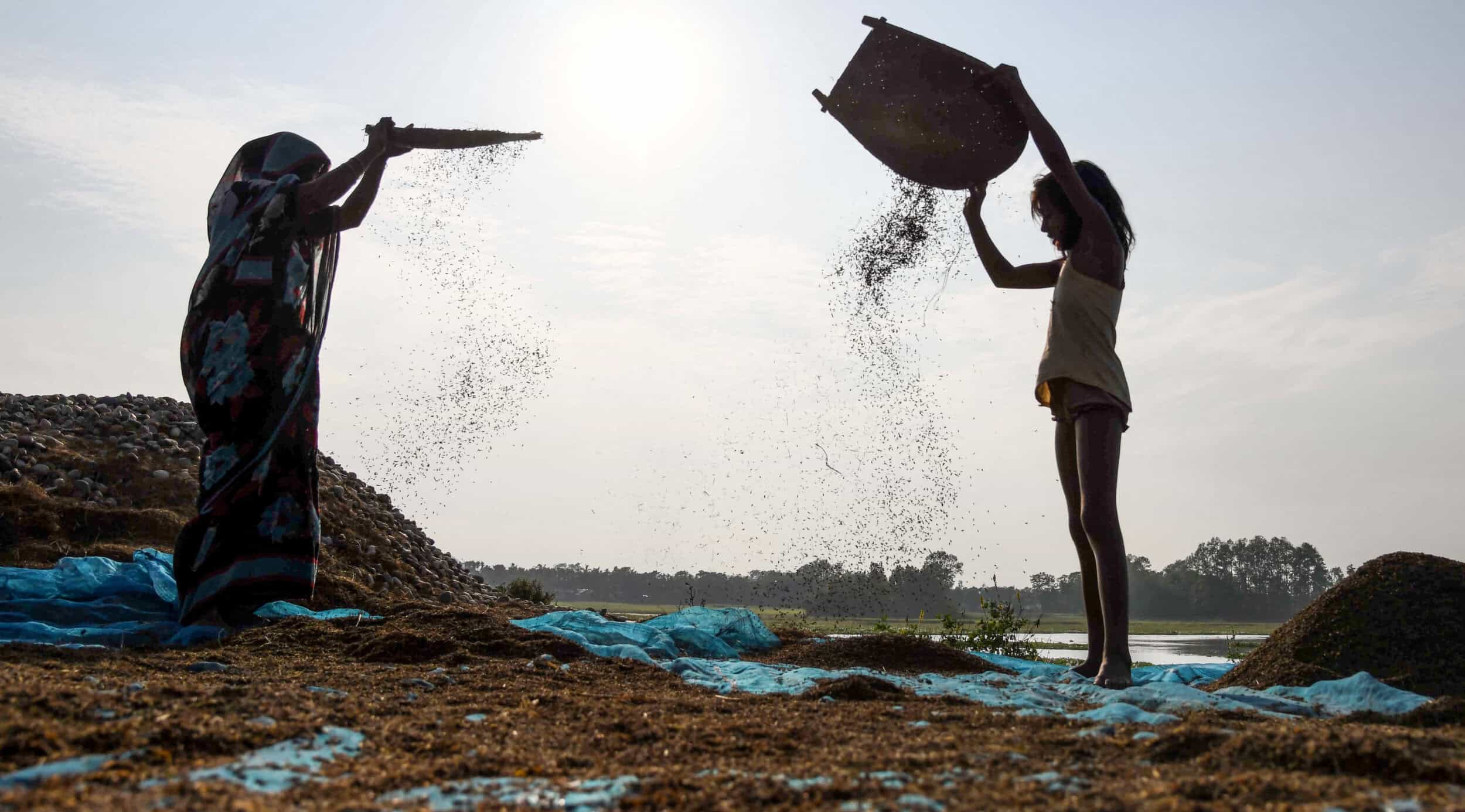 INDIA LABOUR AGRICULTURE