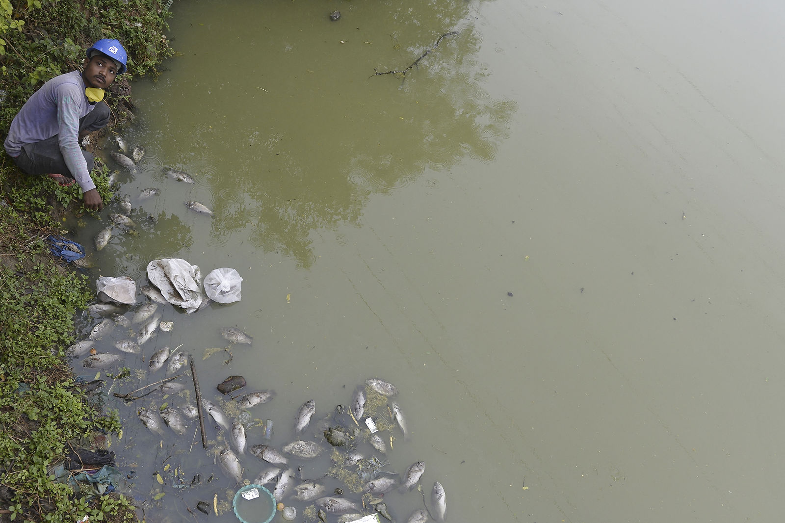 INDIA ENVIRONMENT ANIMAL