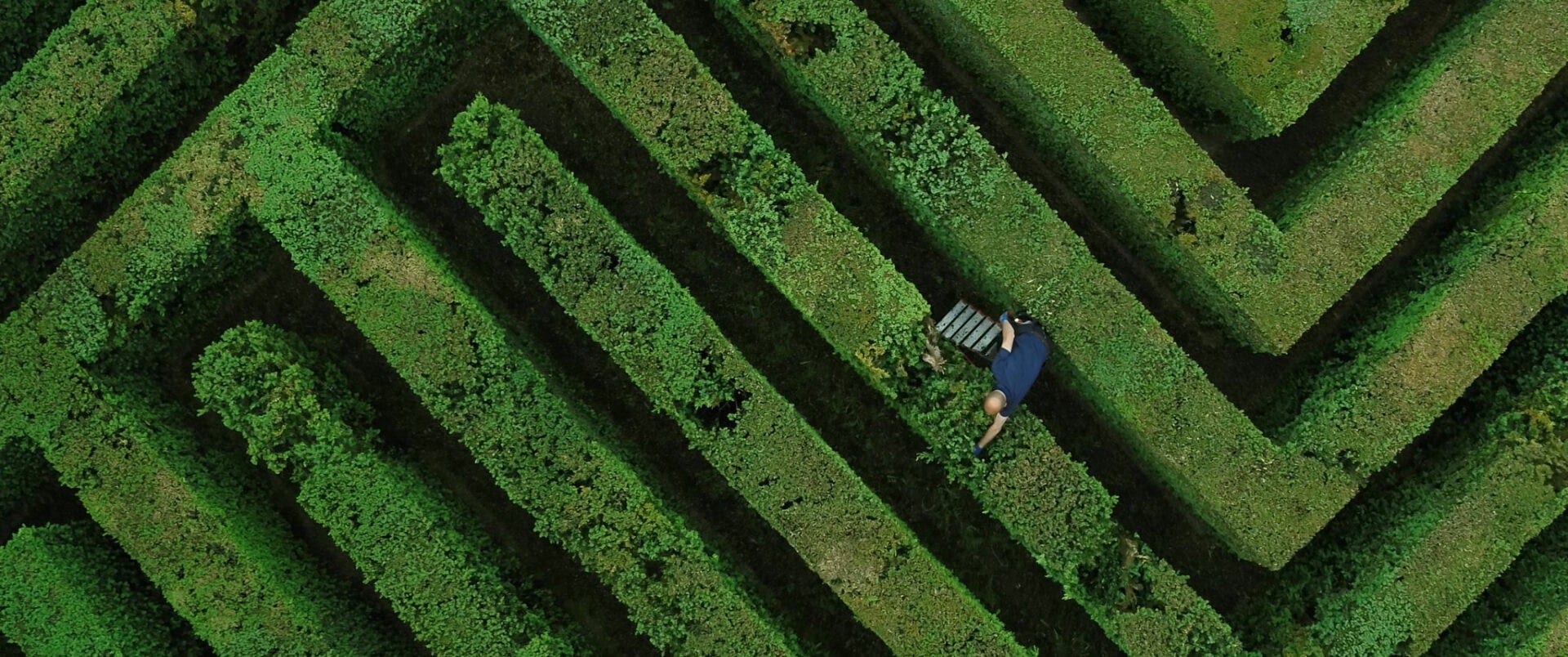 1250955 1920x804