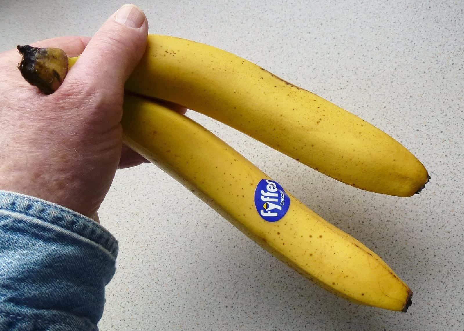 1599px Fyffes bananer
