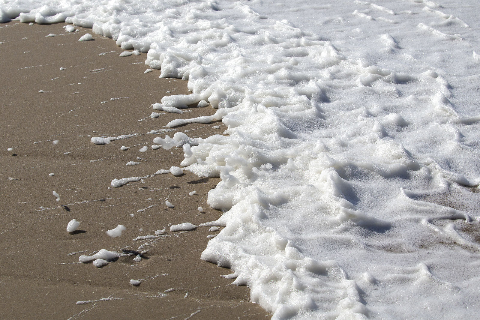 Skum ved Stranden ved Vesterhavet i lidt råt aprilsvejr