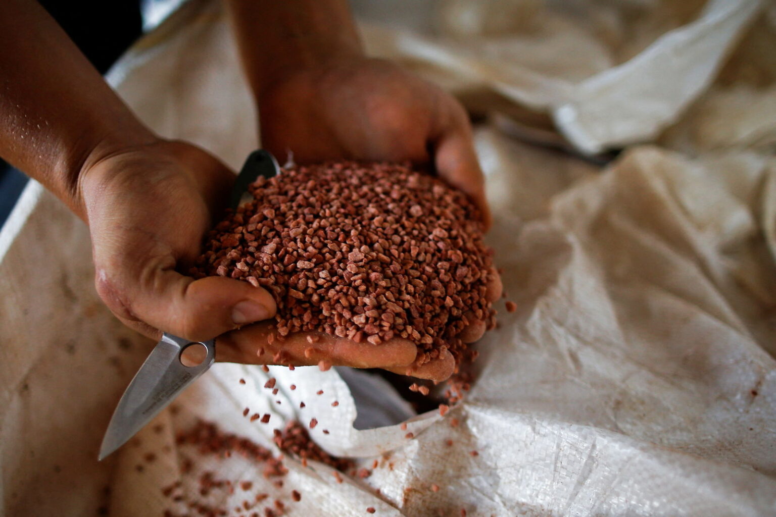 An agricultural worker shows a fertilizer before spreading it in a soybean field, near Brasilia