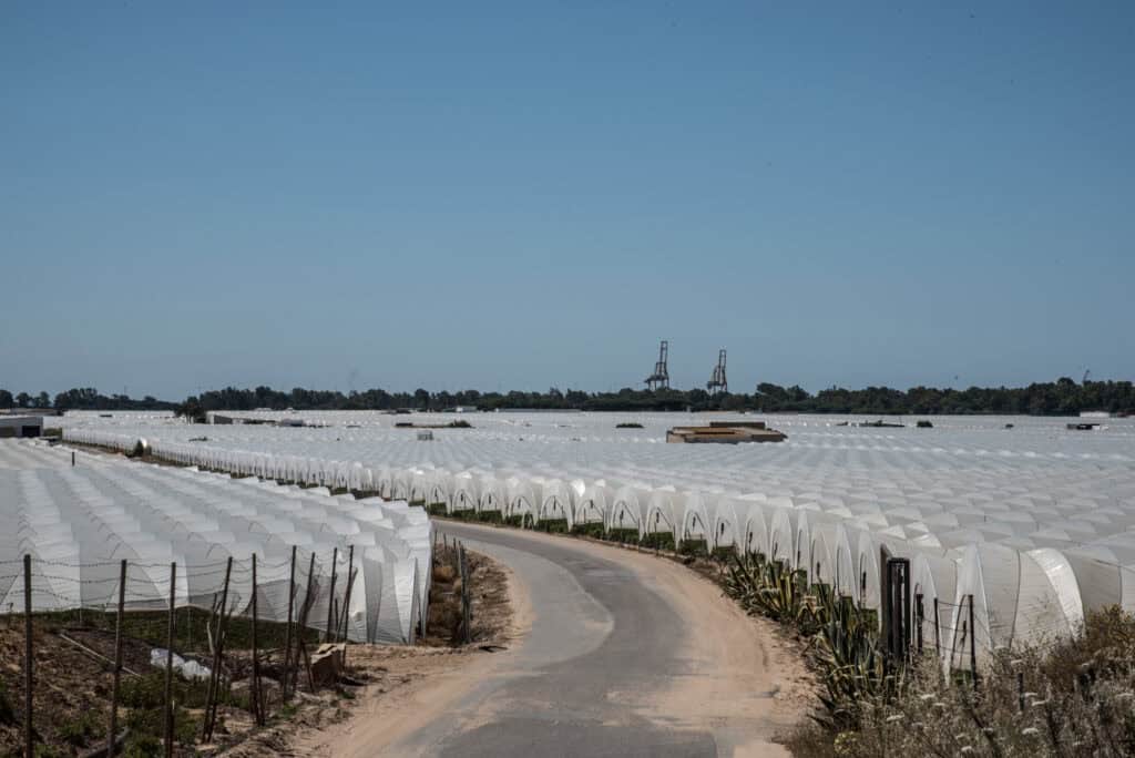 Huelva 2021 61.jpg