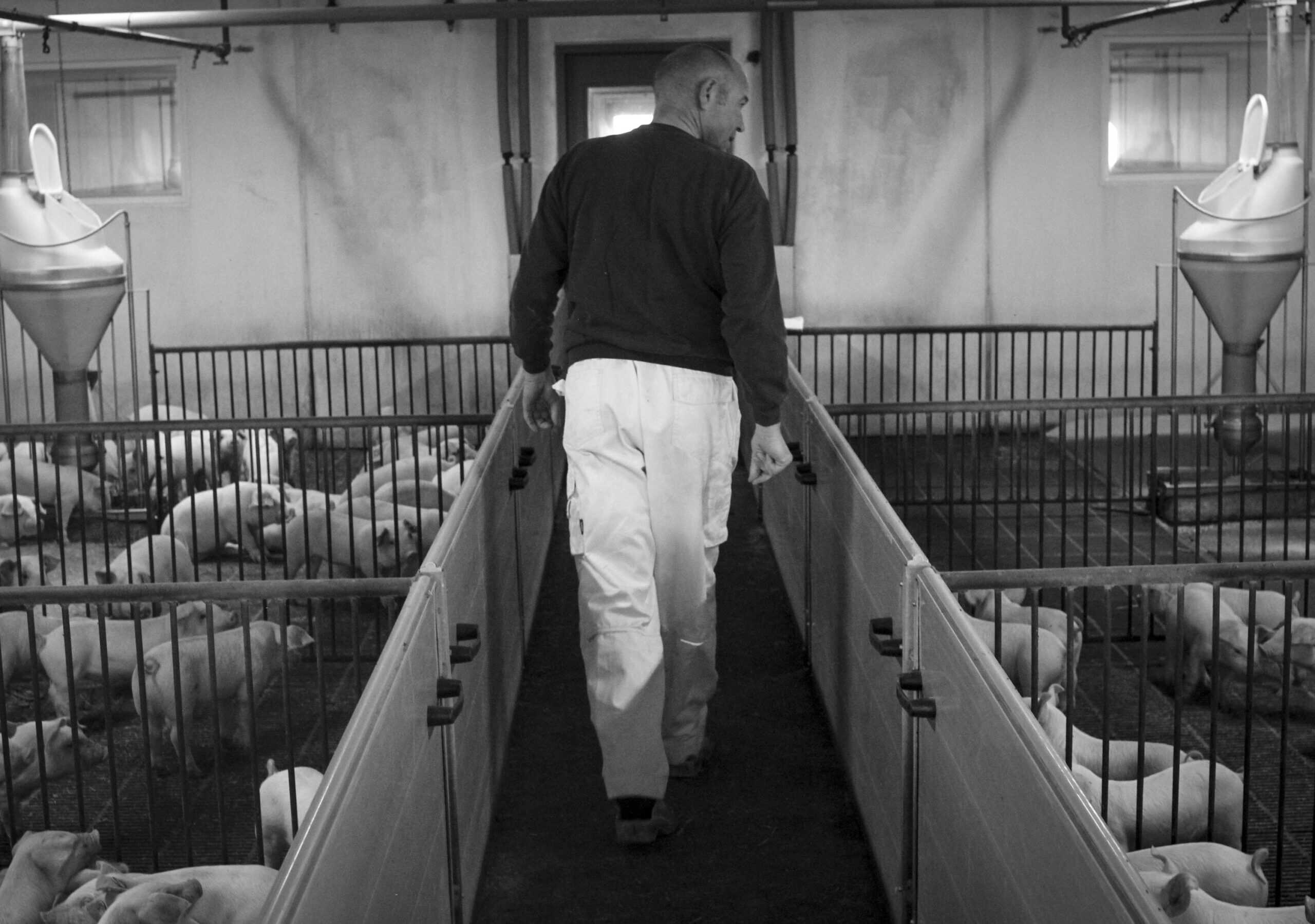 IMG 0299 HOVEDBILLEDE BW