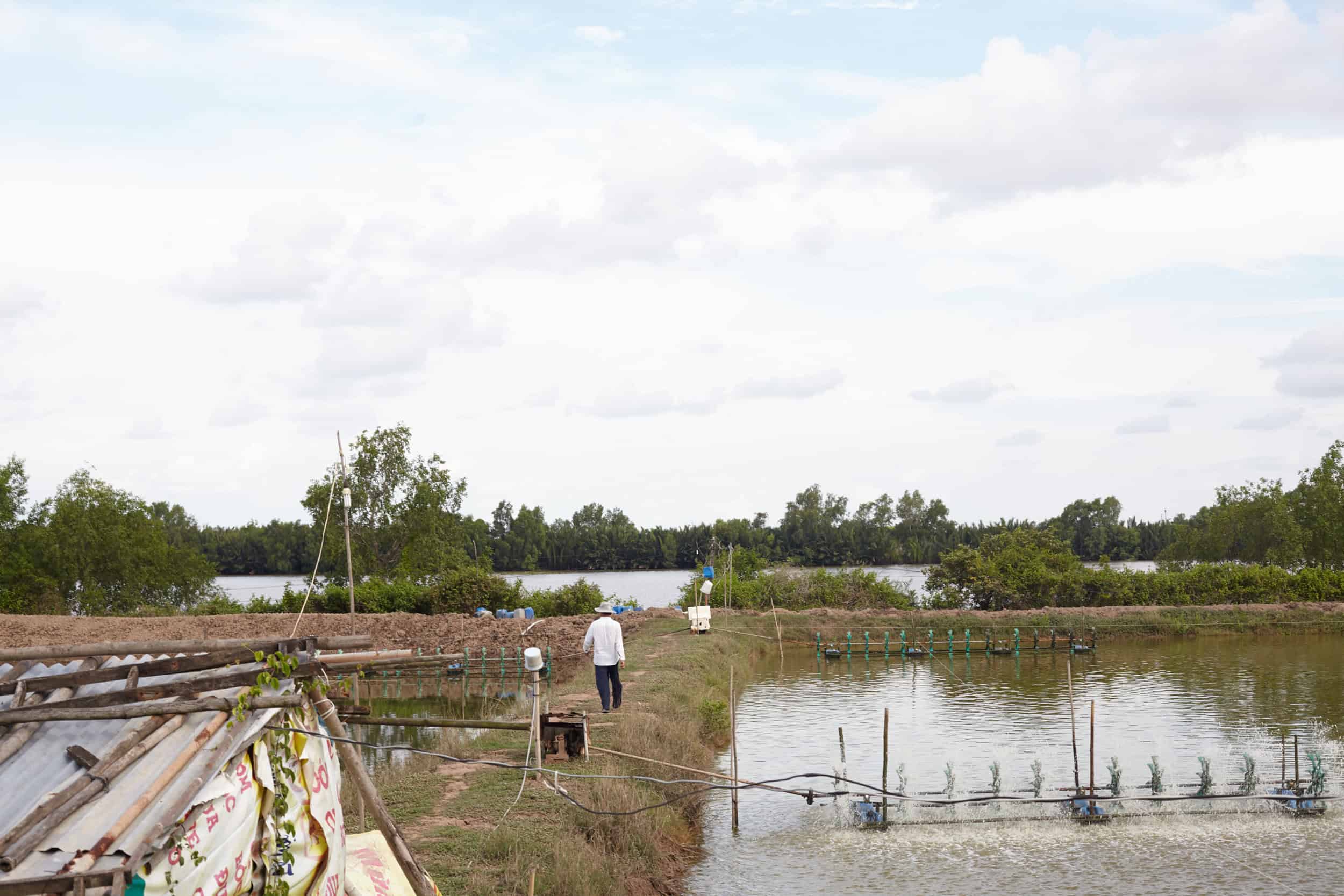Shrimp Industry investigative, May