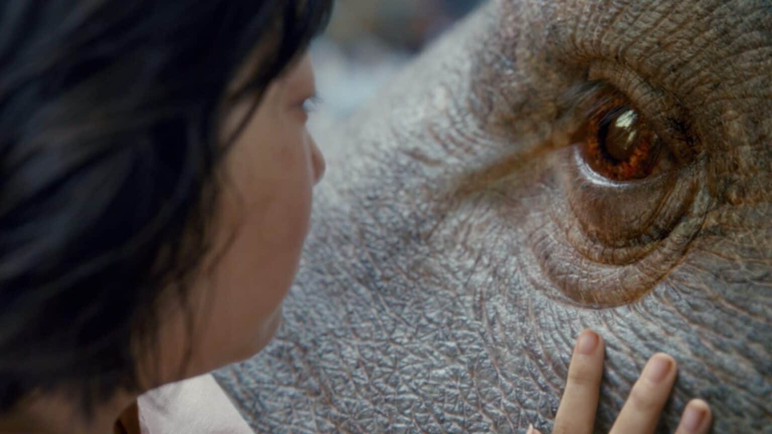Okja MijaOkja SS