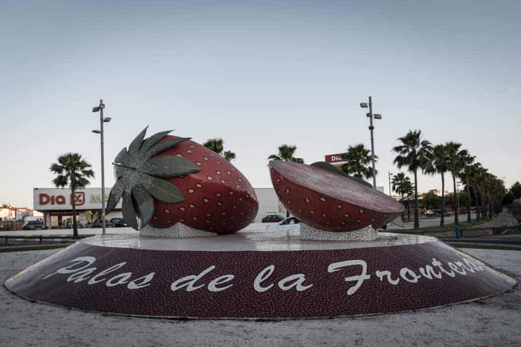 Strawberries Danwatch 3.jpg