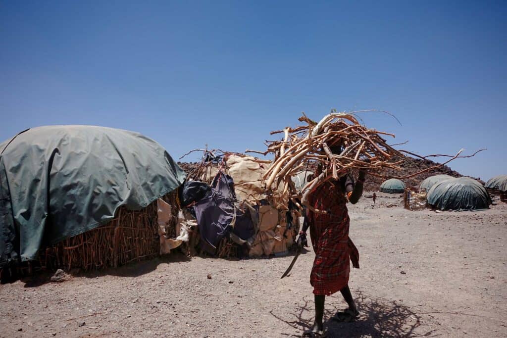 Turkana woman fetching firewood for cooking or selling for a small income in Sarima.jpg