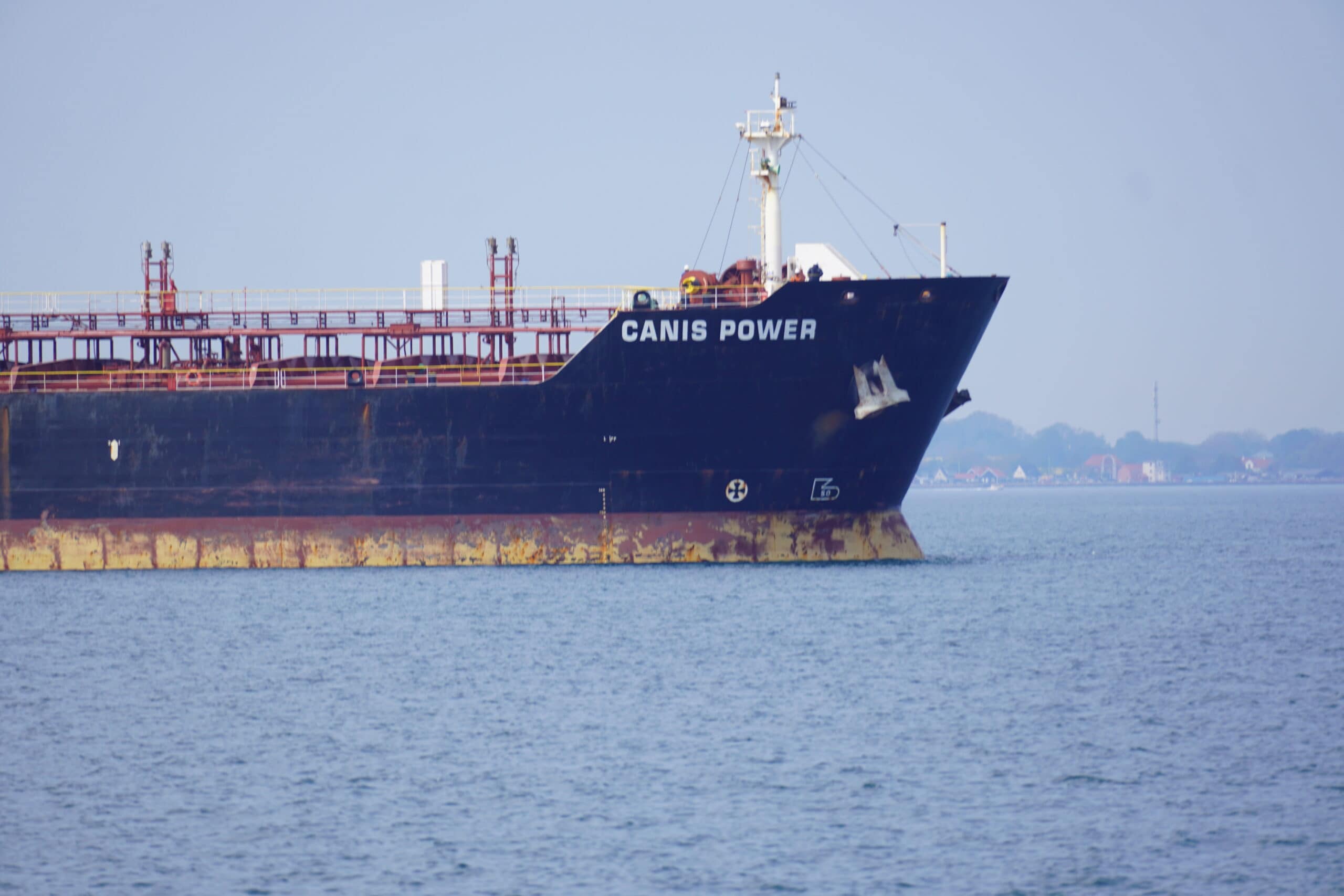 Canis power navn scaled