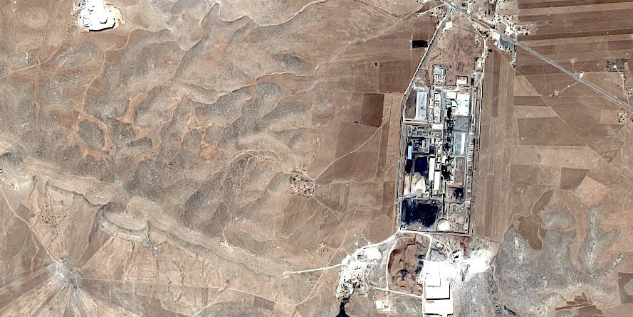 Jalabiya plant