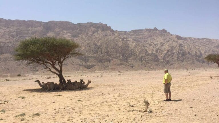 Andre ansatte poserede med Abu Dhabis futuristiske skyline i baggrunden eller var på kamelsafari i den emiratiske ørken. Foto: Screendump fra Facebook