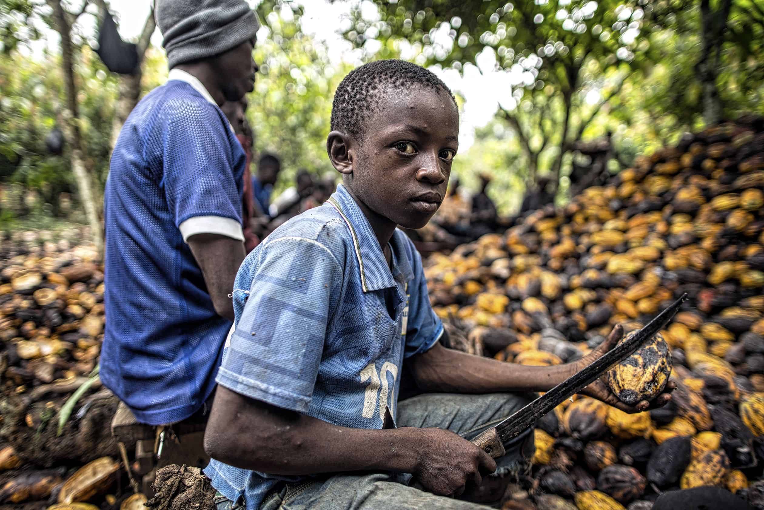Child labour large