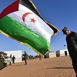 Algeria Wsahara Polisario Politics