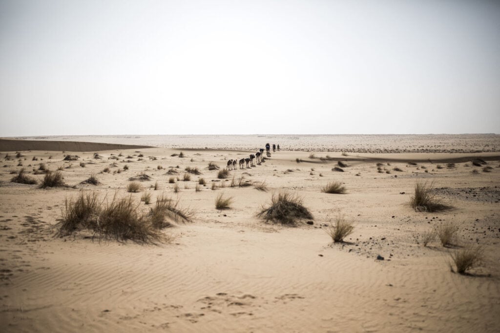 Mauritania archaeology sahara