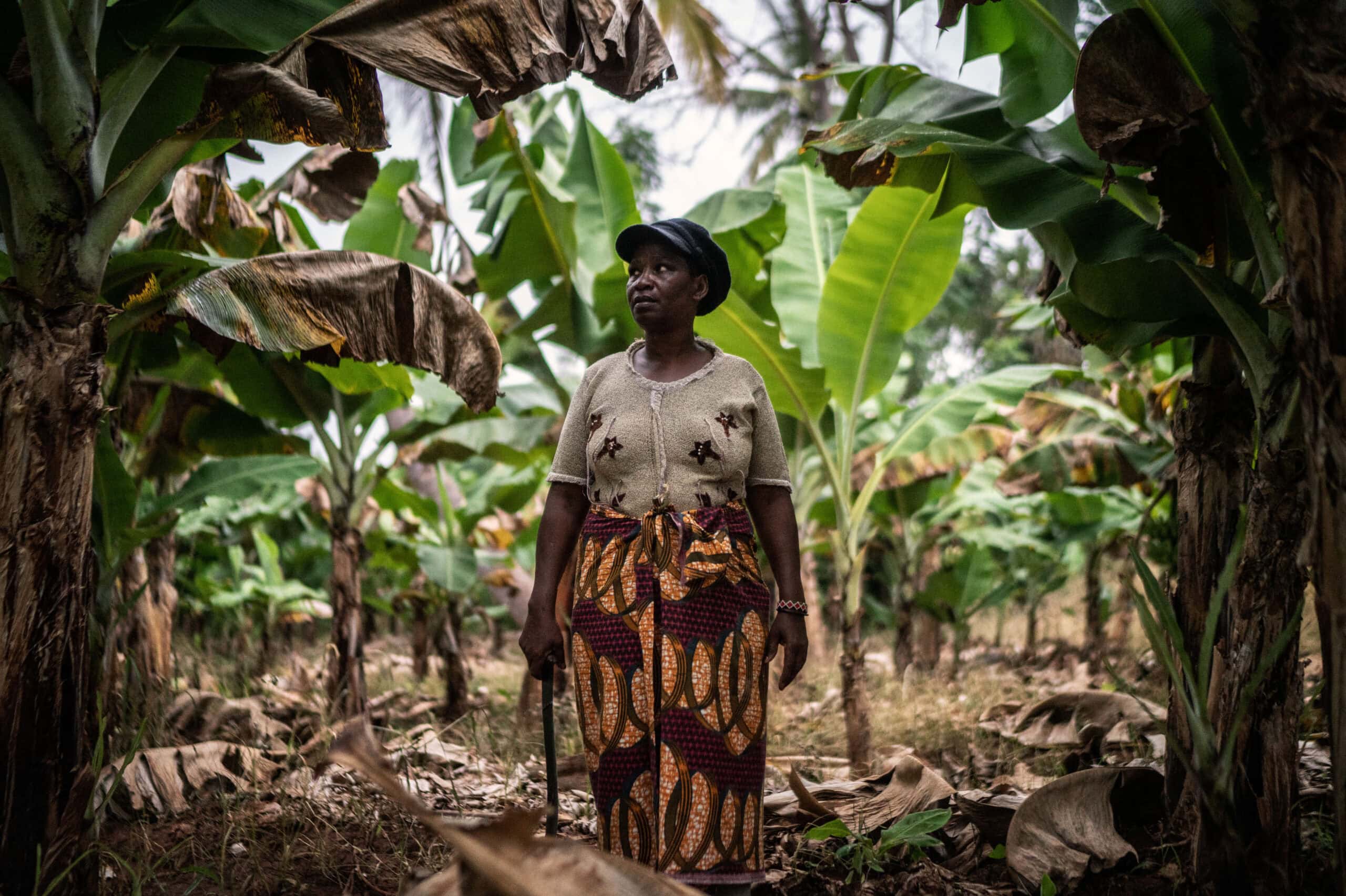 KENYA AGRIBUSINESS