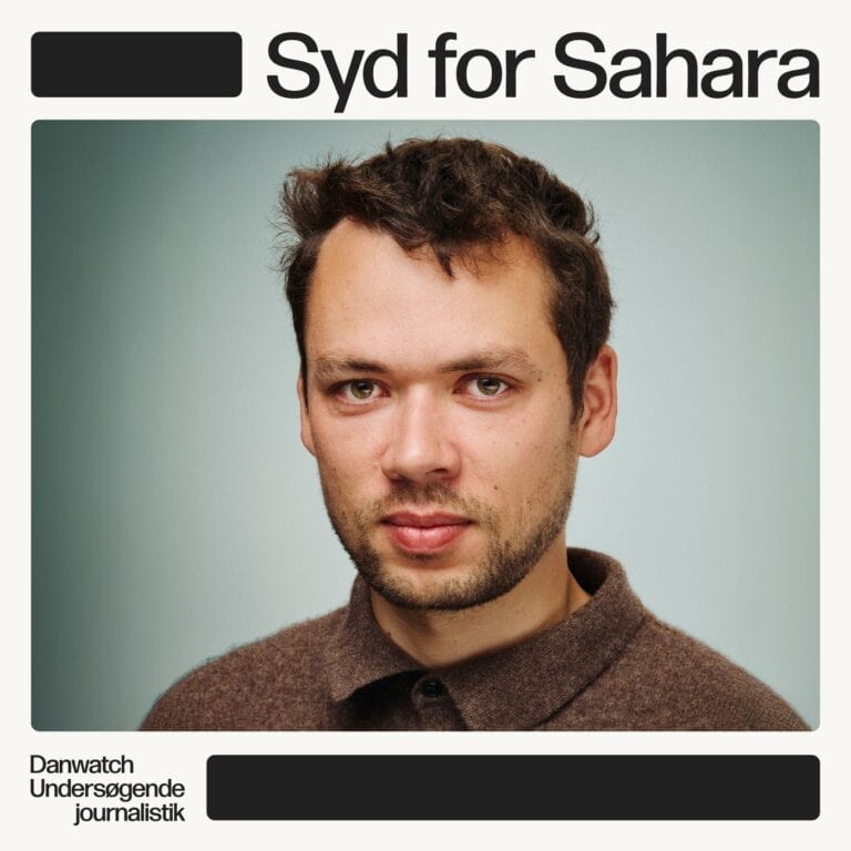 Syd for Sahara: Alle vil omlægge bistand til business – men hvordan?
