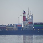 Signal 2026 03 19