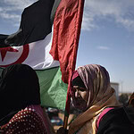 ALGERIA WSAHARA POLISARIO POLITICS