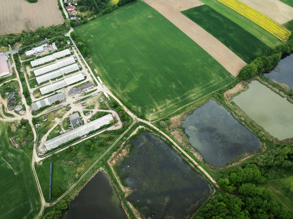 Drone still (1)
